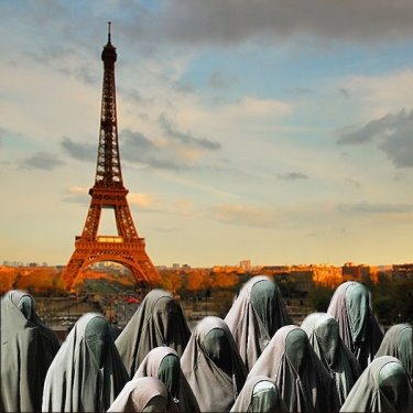 Risultati immagini per islam france