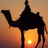 al Afghanee's picture