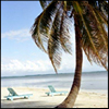 sanu786's picture