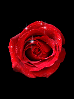 zarinarose's picture